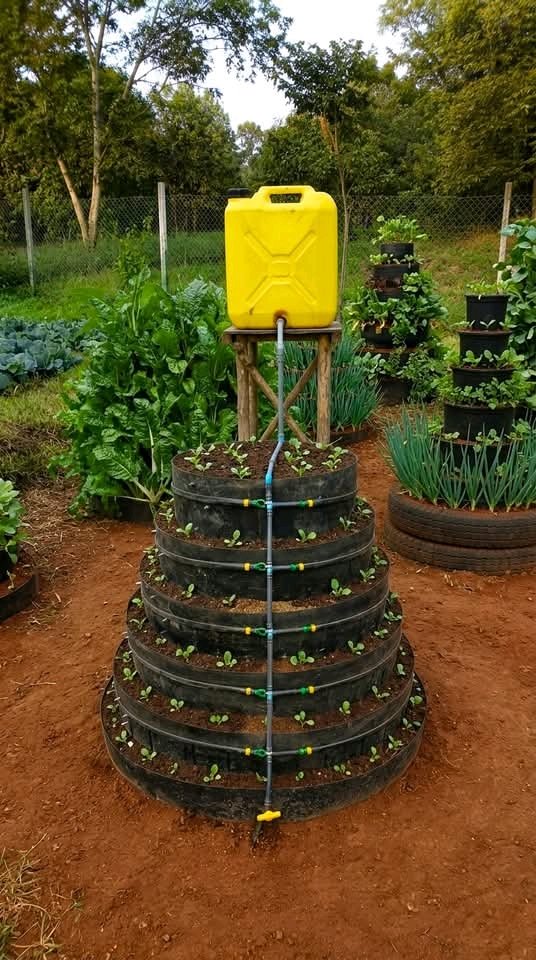 Agrifood innovation